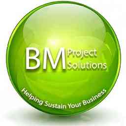 Business Management Project Solutions cover logo