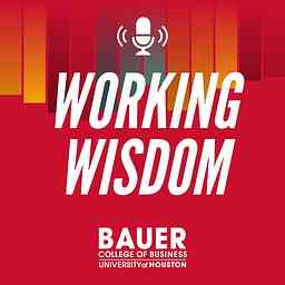 Working Wisdom from the C. T. Bauer College of Business cover logo