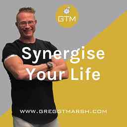 Synergise Your Life cover logo