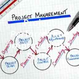 Project Performance Improvement Skills cover logo