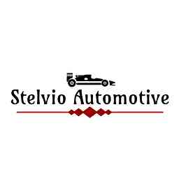 Stelvio Automotive logo