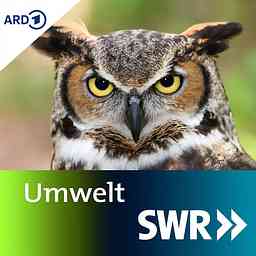 SWR Umweltnews logo