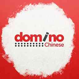 Learn Chinese in 100 Days | Domino Chinese logo