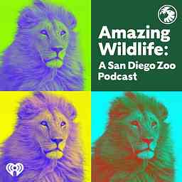 Amazing Wildlife: A San Diego Zoo Podcast cover logo