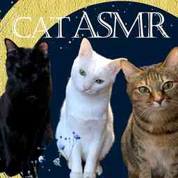 Cat ASMR【eating,purring,grooming】 logo