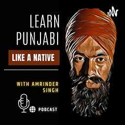 Learn Punjabi Like A Native logo