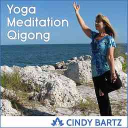 Yoga, Meditation & Qigong cover logo