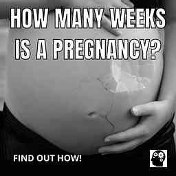 How Many Weeks Is A Pregnancy? logo