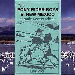 Pony Rider Boys in New Mexico, The by Frank Gee Patchin (1861 - 1925) logo