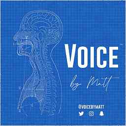 Voice By Matt logo