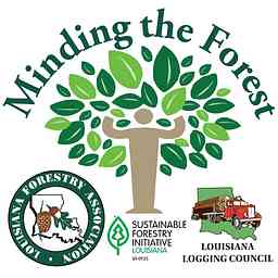 Minding the Forest logo
