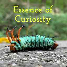 Essence of Curiosity logo