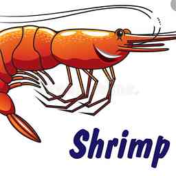 Shrimp see saw logo