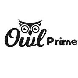 Owl Prime - Digital Marketing Podcast cover logo