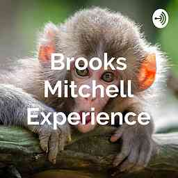Brooks Mitchell Experience cover logo