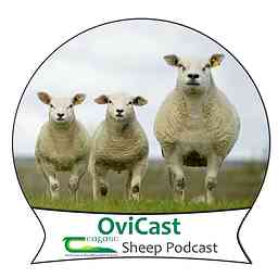 OviCast cover logo