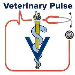 VIN Foundation: Veterinary Pulse logo