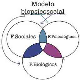 Modelo Biopsicosocial Y Fenómenos Sociales cover logo