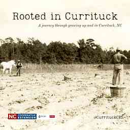 Rooted in Currituck logo