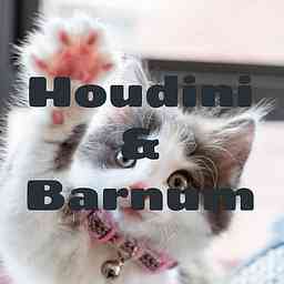 Houdini & Barnum logo