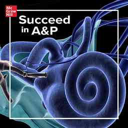 Succeed In A&P cover logo