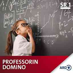 Professorin Domino cover logo