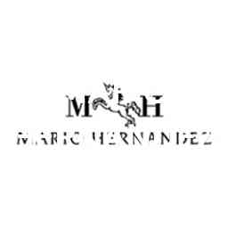 MARIO HERNANDEZ cover logo