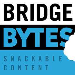 BridgeBytes cover logo