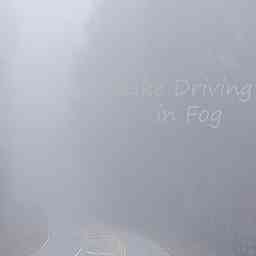 Like Driving in Fog logo