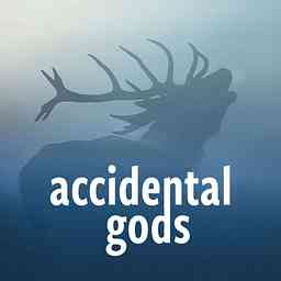 Accidental Gods cover logo