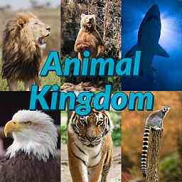 Animal Kingdom cover logo