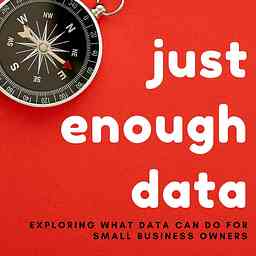 Just Enough Data logo