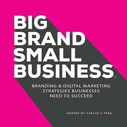 Big Brand Small Business cover logo