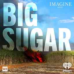 Big Sugar cover logo