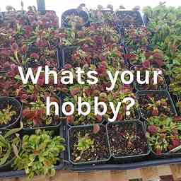 Whats your hobby? cover logo
