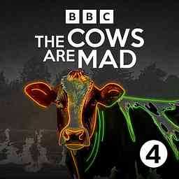 The Cows Are Mad logo