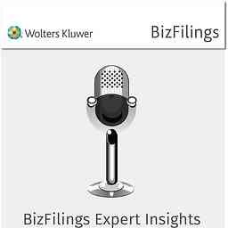 BizFilings Expert Insights cover logo