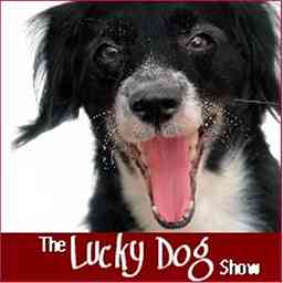 Lucky Dog Show - Fun Unleashed cover logo