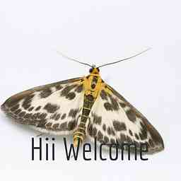 Hii Welcome logo