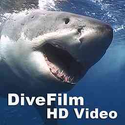 DiveFilm HD Video cover logo