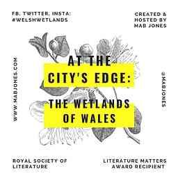 At the City's Edge: the Wetlands of Wales logo