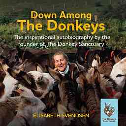 Down Among The Donkeys cover logo