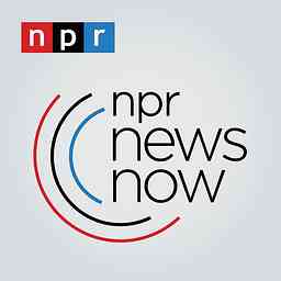 NPR News Now logo