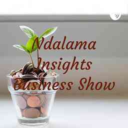 Ndalama Insights Business Show cover logo
