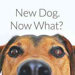 New Dog. Now What? cover logo