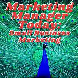 Marketing Manager Today: Small Business Marketing cover logo