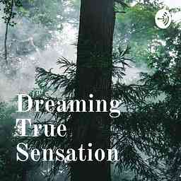 Dreaming True Sensation cover logo