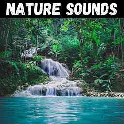 Nature Sounds for Sleep, Meditation, & Relaxation cover logo