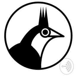 Vogelevenement.com - alles over vogels, verzorging, kweek, vogelbeurzen en vogeltentoonstellingen cover logo