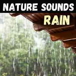 Nature Sounds - Rain cover logo